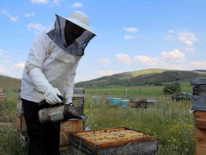 Balda Yüksek Rekolte Beklentisi Arıcılara Umut Oldu