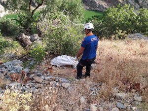 Bitlis’te Trafik Kazası: 1 Ölü