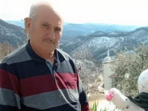 Kesilen Ağacın Altında Kalan Eski Muhtar Hayatını Kaybetti
