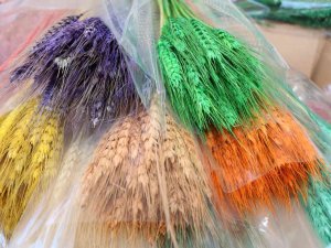 Kuru Çiçekte İthalatı İhracata Çevirdi