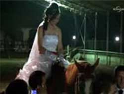 Belediye Başkanı at üstünde nikah kıymak isterken attan düştü (VİDEO)