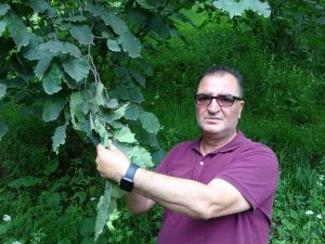 Arslantürk: "Pandemi Fındık Tarımını Bize Yeniden Öğretti"