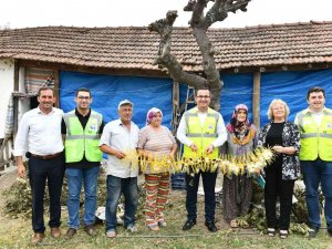 Sıfır Masrafla 40 Günde 6 Bin Lira Gelir