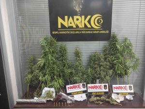Diyarbakır’da Aralarında Yakalama Kararı Bulunan 12 Şüpheli Gözaltına Alındı