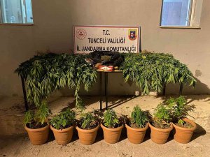 Evini Kenevir Bahçesine Çeviren Şüpheli Yakalandı