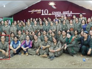 Kongra-gel Başkanlık Divanı Üyesi Irak’ta Etkisiz Hale Getirildi