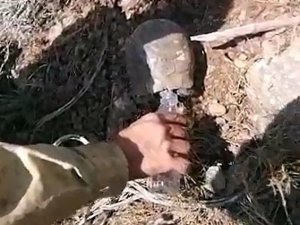 Marmaris’te Ayakları Yanan Domuz Yavrusuna İlk Müdahaleyi Orman Ekipleri Yaptı