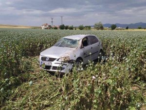 Haşhaş Tarlasına Devrilen Otomobilin Sürücüsü Yaralandı