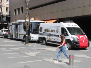 Balıkesir Büyükşehir Belediyesi, Marmaris’teki Yangında Zarar Gören Hayvanları Tedavi Edecek