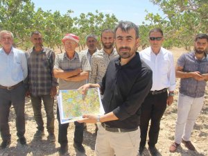 Şanlıurfa’da Fıstık Üreticileri Baklavacılara Ateş Püskürdü