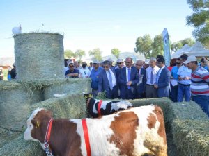 Üniversite Projeleri Sonuç Verdi ‘Tarla Günü’ Etkinliği Düzenlendi