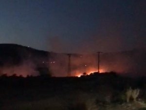 Anız Yangını Ormana Sıçramadan Söndürüldü