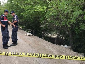 Elazığ’da Tarla Sulama Kavgası: 5 Yaralı