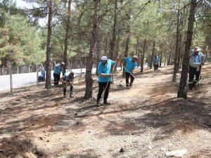 Gaziantep’te Orman Yangınlarına Karşı Tedbirler Arttı