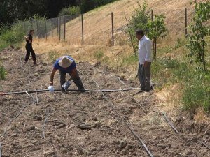 Kavurucu Sıcaklıkta Üretim Mesaisi