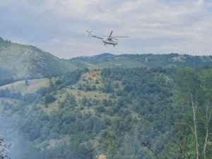 Çanakkale’deki Orman Yangını Kontrol Altında