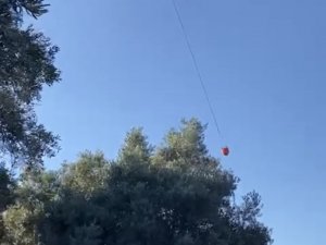 Milas’ta 50 Dönüm Zeytinlik Alan Yangında Zarar Gördü