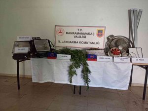 İ̇kametinde Uyuşturucu Yetiştiren Bir Kişi Yakalandı