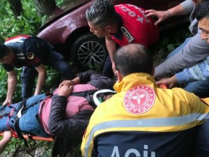 Otomobil Ormanlık Alana Uçtu: 1 Yaralı