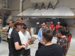 İ̇spanyol Öğretmen Ve Öğrenciler, Leblebi Üretimini Yerinde İnceledi