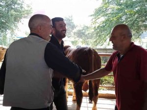 Kurbanlıklar Pazara İndi Sıkı Pazarlıklar Başladı