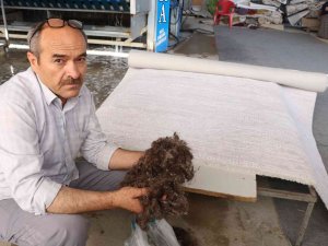 Halılar Mikrop Yuvası Olmaması İçin 3 Ayda Bir Temizlenmeli