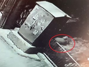 Gece Vakti Kesilen Meyve Ağaçları Mahalleliyi İsyan Ettirdi
