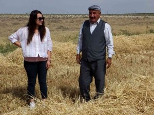 Sultanhanı’nda Biçerdöverler Kontrol Geçiyor