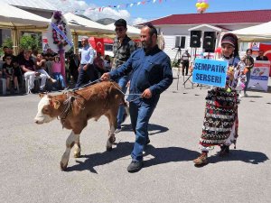 Podyuma Çıkan Buzağılar İsimleriyle Dikkat Çekti