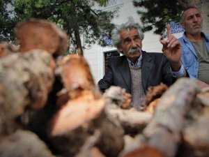 Elazığ’da Şifa Deposu Olarak Bilinen Işkın Otu Kökü Tezgahtaki Yerini Aldı