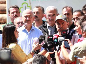 Marmaris Yangını Kontrol Altında