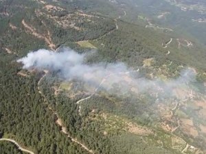 İ̇zmir’de Ormanlık Alanda Yangın