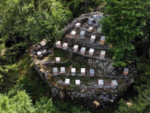 Asırlardır Kayalar Üzerinde Bal Üretiyorlar