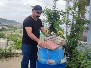 Hayvan Gübresinden Kendi Gazını Üretti