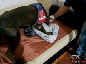 Yastık Altındaki Uyuşturucuyu “Kaput” Buldu