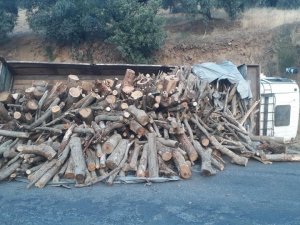 Freni Boşalan Kamyonun Sürücüsü Ölümden Döndü