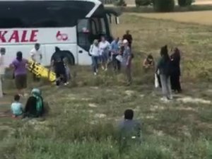 Pamukkale Firmasına Ait Yolcu Otobüsü Tarlaya Uçtu