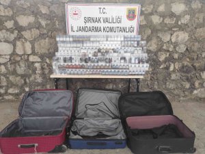 Şırnak’ta Kaçakçılık Ve Asayiş Operasyonu: 47 Gözaltı