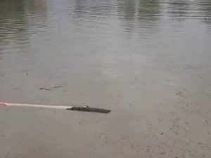 Bartın’da Dereler Taştı, Karayolları Ulaşıma Kapandı