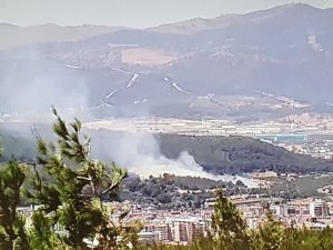 İ̇zmir’de Ağaçlık Alanda Yangın Kontrol Altında