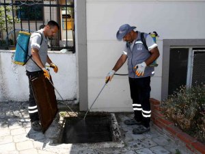 Kuşadası’nda Haşere Ve Kara Sineğe Karşı Etkin Mücadele