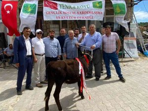 Köy Ağaları Hayır İçin Kıran Kırana Yarıştı