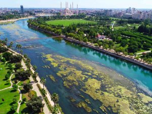 Seyhan Nehri’ni Yosunlar İstila Etti