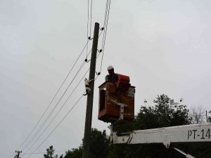 Elektrik Direğinde Mahsur Kalan Kedi, Ekiplerden Korkup Kendisi İndi