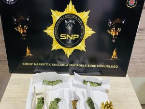 Sinop’ta Uyuşturucu Operasyonu