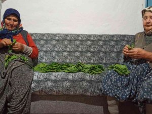 Salamura İçin Yapraklar Demetlenmeye Başlandı