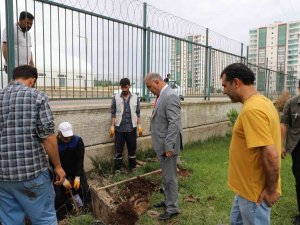 Kayıp Ve Kaçak Su Kullanımını Önlemek İçin Sitelere Ana Sayaç