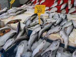 Balıkçılar Yeni Sezonu İple Çekiyor