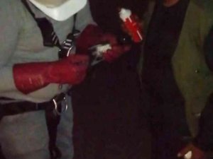 Bitlis’te Elektrik Tellerine Takılan Karga Kurtarıldı