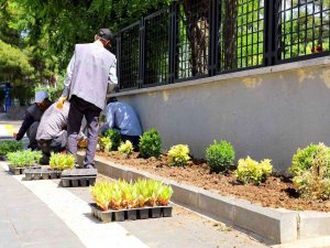 Yenişehir’de Park Ve Bahçelerde Bakım